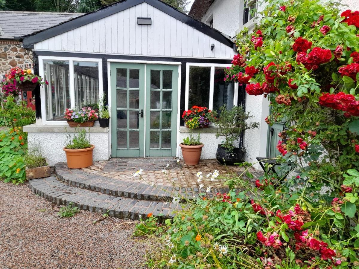 Berwickhall Apartment Craigavon Экстерьер фото